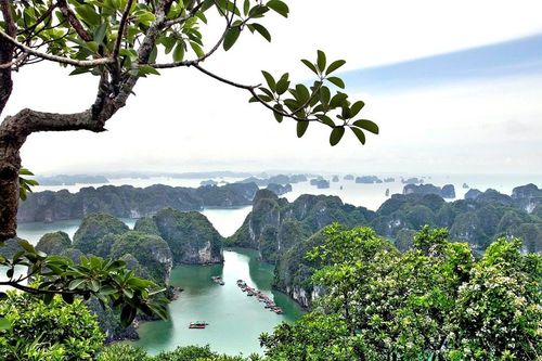 Xung quanh thông tin 'Vịnh Hạ Long bị xem xét loại khỏi danh sách Di sản thế giới': Cục Di sản lên tiếng