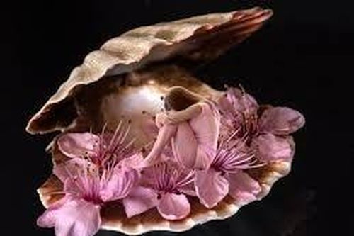 Vì sao người có nhân cách 'ốc mượn hồn' thiếu cảm giác an toàn?