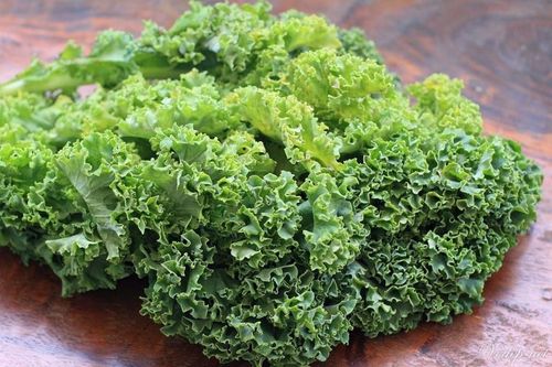 Cải xoăn có hàm lượng canxi gấp 5 lần trứng