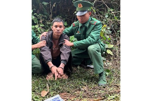 Sa lưới trên đường mòn