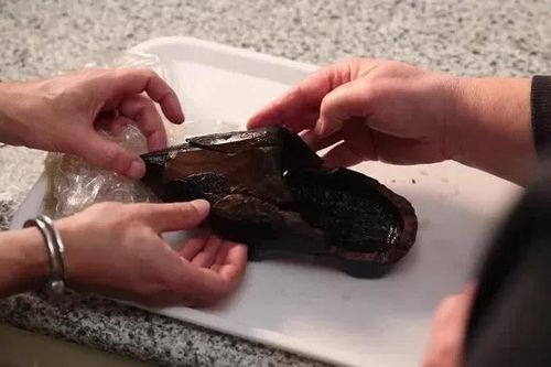 Hà Lan phát hiện chiếc giày gỗ quý hiếm 500 năm tuổi