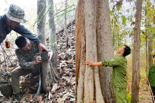 Bảo tồn đa dạng sinh học trong bối cảnh mới