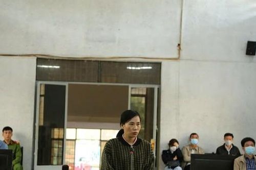 Thủ quỹ Trường Chính trị Đắk Lắk lĩnh án vì tham ô tài sản