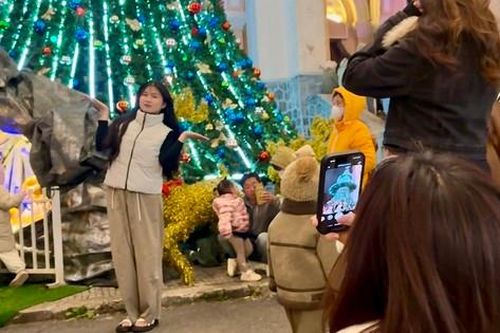 Hàng nghìn người chen chân 'check-in' bên cây thông cao 17m ở nhà thờ Con Gà