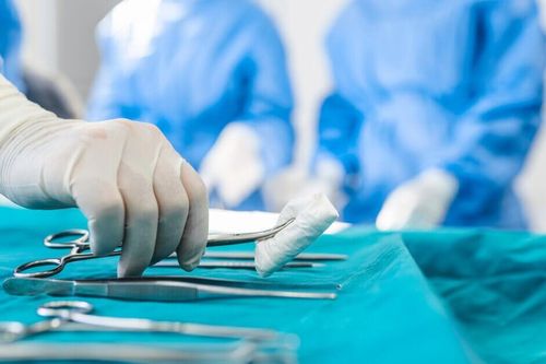 Ve rận chó, mèo ký sinh trong ống tai bệnh nhi 6 tuổi