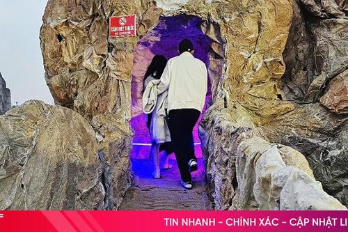 Nhịp võng của tre
