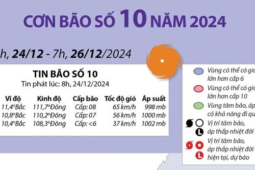 Dự báo hoạt động của bão số 10 trong năm 2024