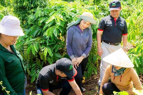 Nestlé Plan đồng hành và nâng cao đời sống cho nông dân Việt