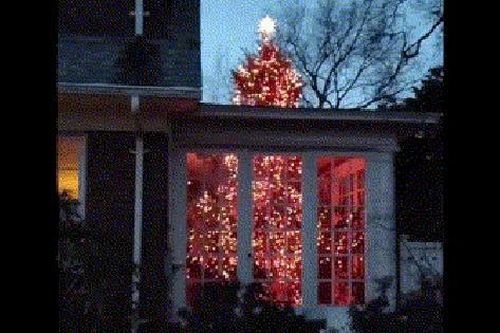 Ngôi nhà 'gây sốt' với cách trang trí cây thông Noel độc đáo