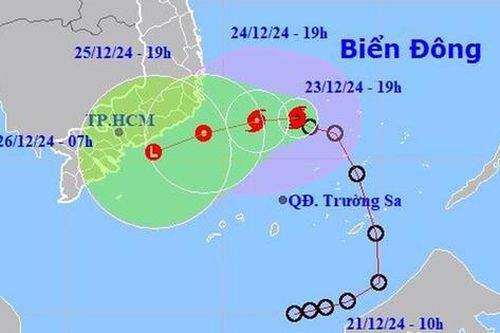 TPHCM chủ động ứng phó với bão số 10