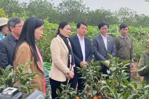 Hội LHPN Hưng Yên chia sẻ kinh nghiệm phân loại, xử lý rác thải sinh hoạt tại hộ gia đình với phụ nữ Hải Dương