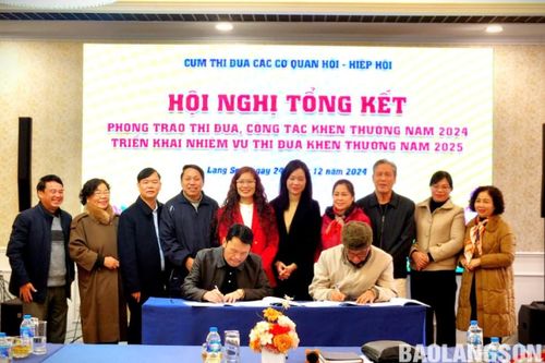 Cụm Thi đua Các cơ quan Hội - Hiệp hội tỉnh tổng kết phong trào thi đua, công tác khen thưởng năm 2024