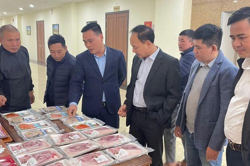 Công bố nhãn hiệu chứng nhận cá nước lạnh và lợn đen bản địa Văn Bàn