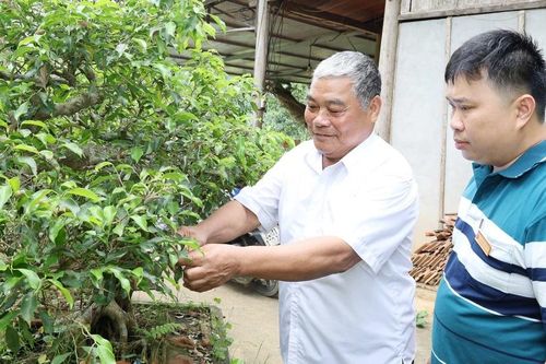 Giáo dân Bảo Yên sống tốt đời đẹp đạo