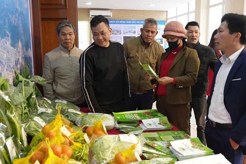 Công bố nhãn hiệu chứng nhận 'Rau an toàn Bảo Thắng'