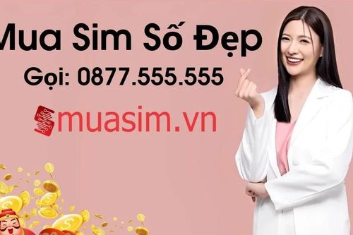 Dự đoán những dòng sim số đẹp dẫn đầu xu hướng thị trường năm 2025