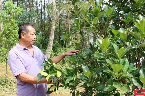 Lãnh đạo phát triển kinh tế - xã hội, tăng thu nhập cho nhân dân