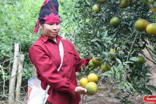 Mường Lạn nỗ lực xây dựng nông thôn mới