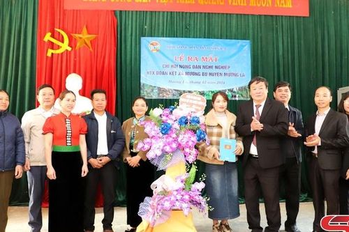 Ra mắt Chi hội Nông dân nghề nghiệp HTX Đoàn Kết