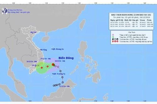 Bão số 10 có khả năng suy yếu ngay trên biển