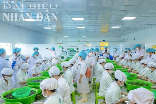 Chương trình OCOP Khánh Hòa thu hút nhiều sản phẩm chất lượng