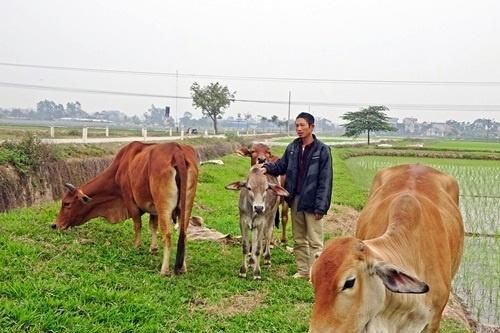 NHCSXH huyện Chương Mỹ: Chuyển mình nhờ triển khai hiệu quả Chỉ thị 40 (Bài 1)