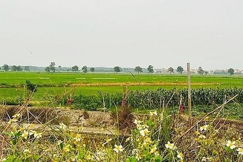 Bắc Ninh: Thanh tra Bộ Xây dựng yêu cầu giải trình những bất thường trong quy hoạch Cụm công nghiệp Lâm Bình