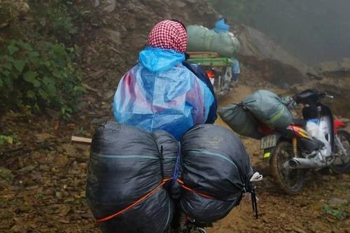 Đề thi học sinh giỏi Ngữ văn: Sống đẹp theo phong trào