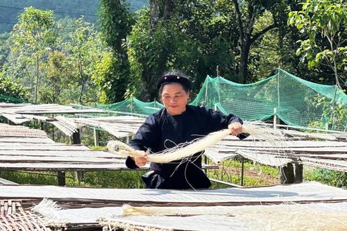 Hiệu quả Quỹ hỗ trợ phụ nữ phát triển