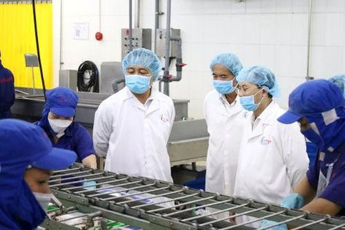Cần Thơ: Kịp thời nắm bắt, hỗ trợ doanh nghiệp phục hồi, phát triển