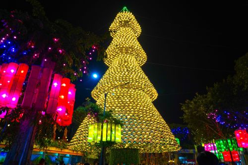 Ngắm cây thông Noel làm từ 3.800 nón lá rực sáng mùa Giáng sinh