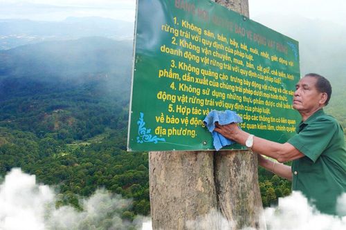 Dân làng bảo vệ rừng thiêng