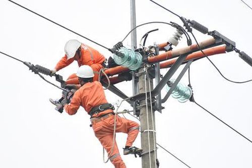 Lịch cắt điện Nam Định từ ngày 24 – 29/12/2024: Hàng loạt khu dân cư và tuyến đường mất điện trên 10 tiếng/ngày