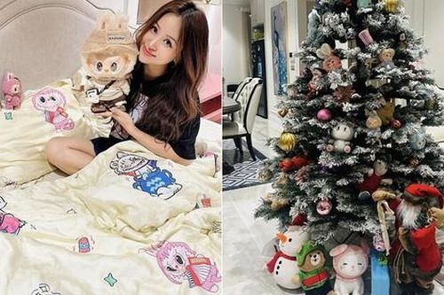 Cây thông độc đáo, thể hiện gia chủ 'giàu ngầm' của MC Vân Hugo