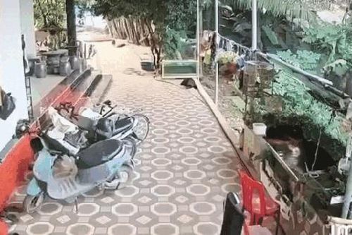 Khoảnh khắc vụ nổ lớn khiến 3 người thương vong ở Nghệ An