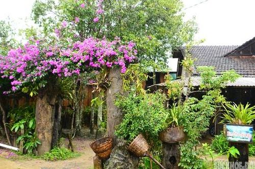 Mộc mạc làng cổ Vi Rơ Ngheo giữa núi rừng Tây Nguyên
