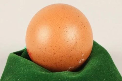 Quả trứng 'tỉ quả có một' có giá cao kỷ lục