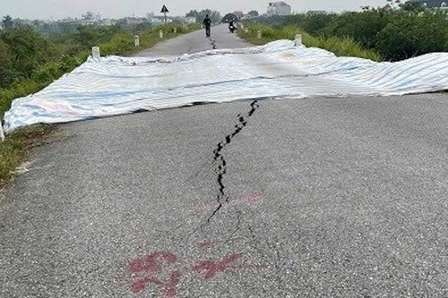 Hà Nội: cấp bách xử lý sự cố lún, nứt đê Ngọc Tảo huyện Phúc Thọ