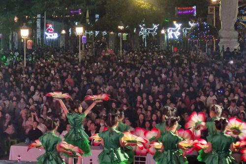 Nghệ An: nhiều nhà thờ, giáo đương chật kín người dân dịp Noel