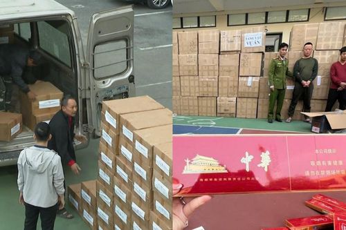 Hà Nội: 2 đối tượng tàng trữ hàng trăm nghìn bao thuốc lá