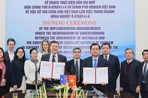 Sáu doanh nghiệp tham gia chương trình lao động nông nghiệp tại Australia