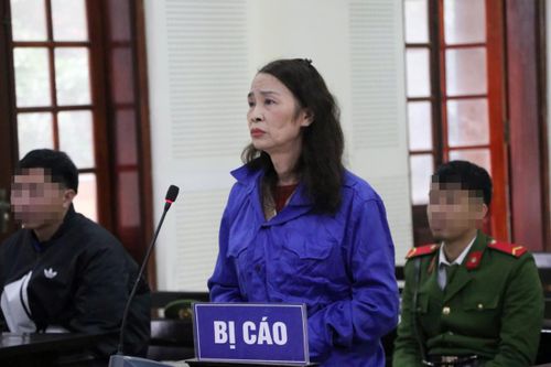 Nữ giám đốc chuyên 'bảo kê' xe tải lĩnh án