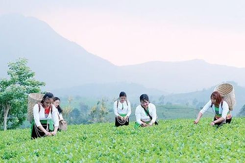 Đánh thức tiềm năng OCOP: 'Đặc sản' hút khách du lịch đến vùng DTTS Phú Thọ