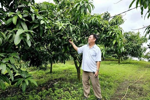 Cuộc sống người dân ở Đắk Nông có nhiều khởi sắc nhờ dấu ấn nông thôn mới
