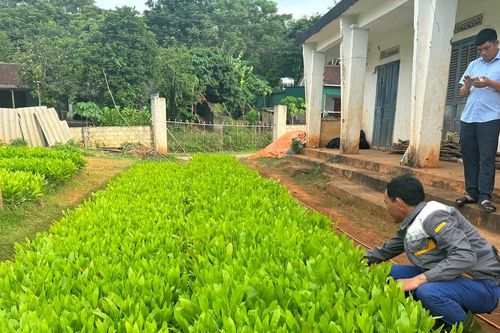Doanh nghiệp, nông lâm trường Nghệ An cập nhật, đối thoại về Luật Đất đai 2024