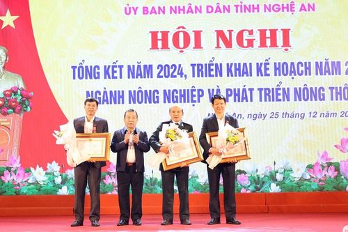 Nhiều chỉ tiêu về nông nghiệp và phát triển nông thôn ở Nghệ An hoàn thành vượt mức kế hoạch