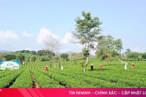 Lấy ý kiến Nhân dân về việc Hương Khê đủ điều kiện đề nghị xét, công nhận đạt chuẩn NTM năm 2024