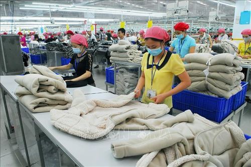 Hải Dương: Mức thưởng Tết cao nhất đạt 150 triệu đồng/người