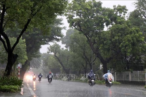 Áp thấp nhiệt đới gây mưa ở Trung Bộ