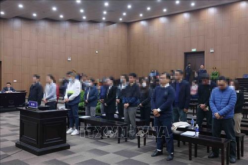 Vụ 'Chuyến bay giải cứu' giai đoạn 2: Viện Kiểm sát khẳng định mức án đề nghị đều có cơ sở pháp lý